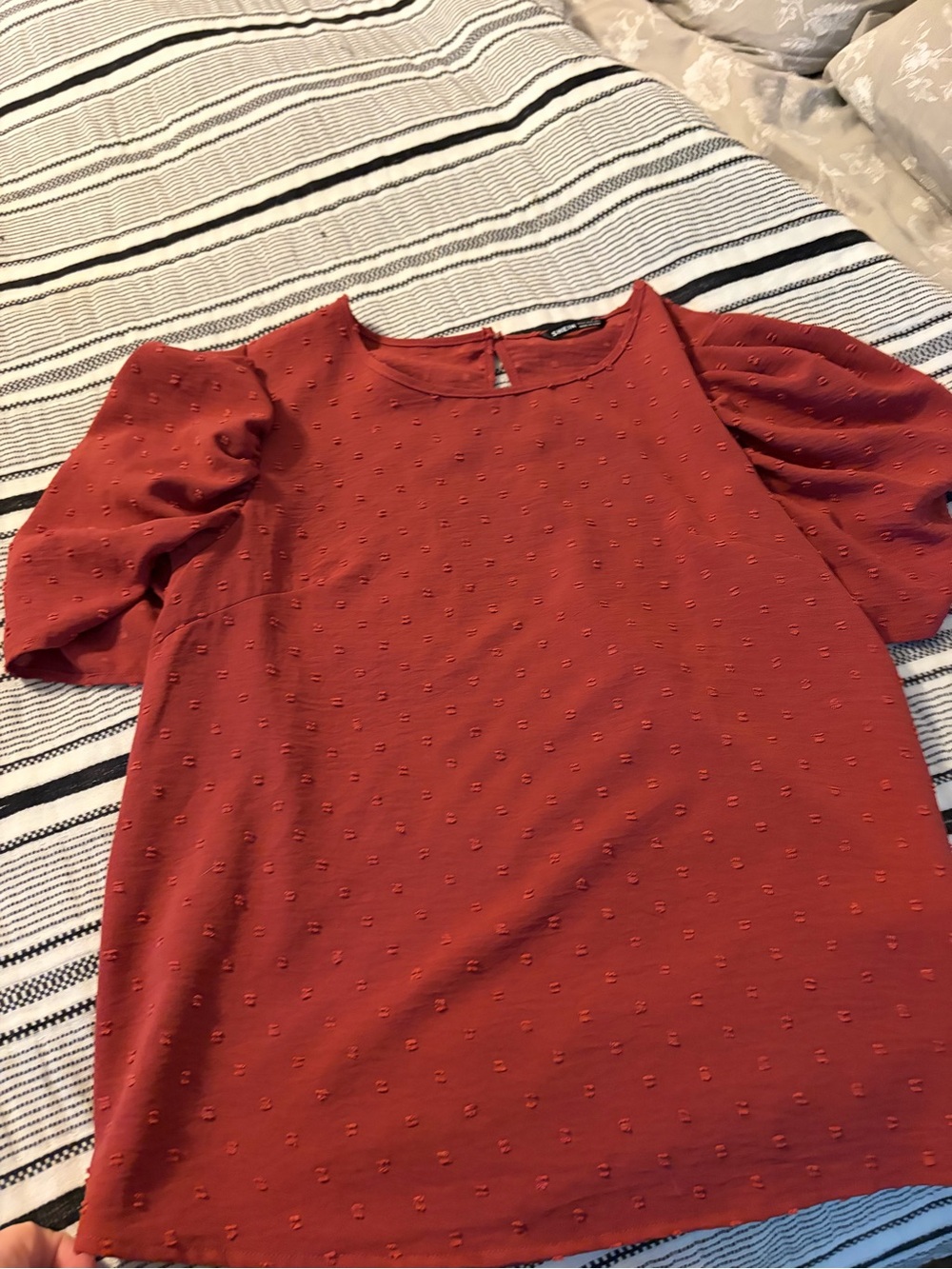 SHEIN Rust Red Puff Sleeve Swiss Dot Blouse